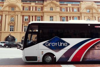 Auckland - City Highlights - Afternoon Tour